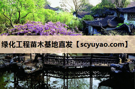 绿化工程苗木基地直发