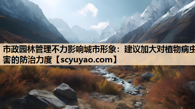 市政园林管理不力影响城市形象：建议加大对植物病虫害的防治力度